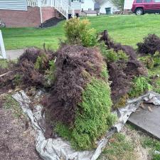 Top-Tier-Bush-Removal-Service-Preformed-in-Gastonia-NC 0